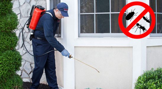 Ilgaz Kene İlaçlama böcek ilaçlama ve haşere kontrolü — ilaclama-tr.com